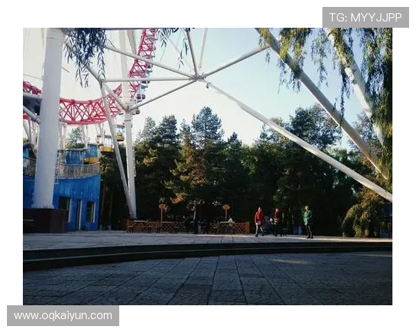 db体育官网的社区文化，分享你的游戏心得与经验