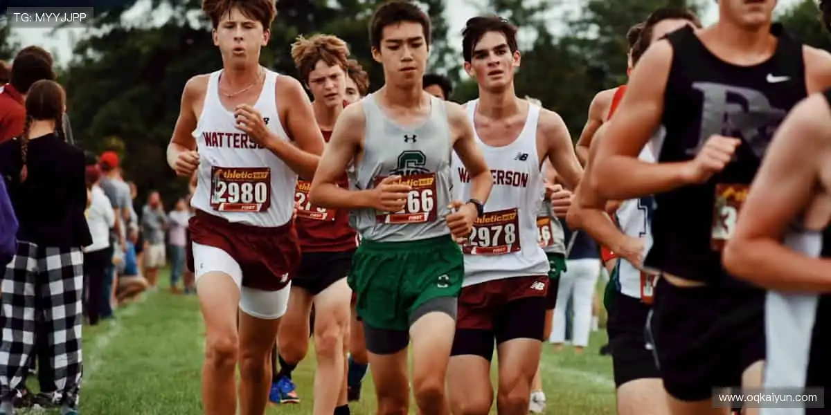 限量款来袭,手慢无!🚨🎯